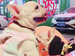 -南记食粥坊·宵夜大排档(南桂店)