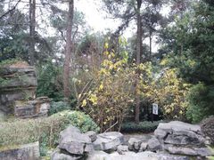 -铁山坪森林公园