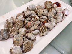 老酒雪蛤-华盛丰温州大排档(东三环南路店)