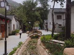 -黄金寨原生态旅游区