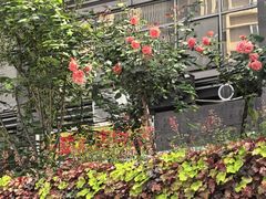 -观音桥步行街