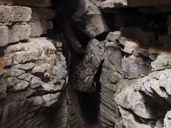 -梭布垭石林景区