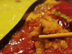 -朱光玉火锅馆(正弘城店)