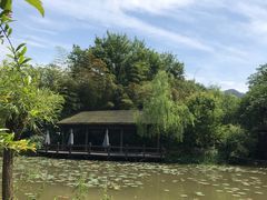 大堂-西院1号(龙井店)