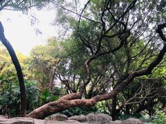 -晓港公园