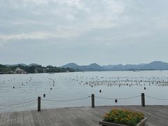 -杭州湖滨in77