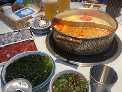 -濠七糟粕醋•海南酸汤火锅(中关村店)