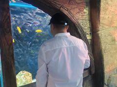 -无锡动物园·太湖欢乐园