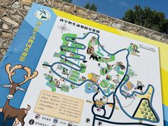 -青藏高原野生动物园
