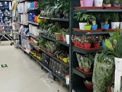 -物美(北沙滩店)