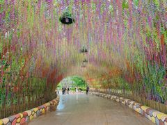 -郑州方特梦幻王国