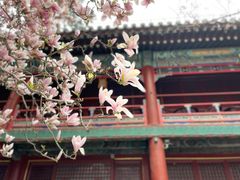 -潭柘寺景区