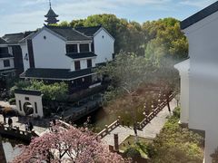 -苏州吴宫泛太平洋酒店