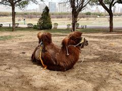 -赛汗塔拉风情园