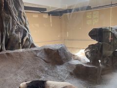 -宁波野生动物园