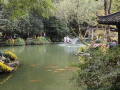 -杭州植物园