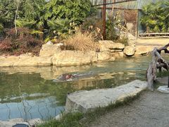-上海野生动物园