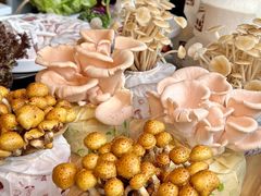 -烹然四季椰子鸡火锅(团结湖总店)