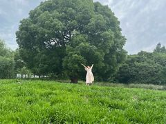 -梁鸿国家湿地公园