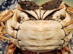 -江杨农产品批发市场