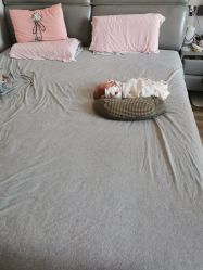 -养月堂中医养生月子会所(中心妇产店)