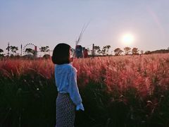 -花博汇(知音花月夜)