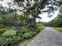 -上海滨江森林公园