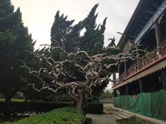 -蓬莱阁景区