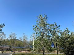 -宝荣鱼馆·临湖之宴(千岛湖店)