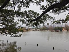 -江心屿景区