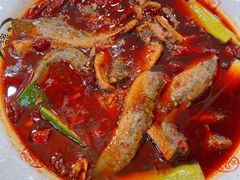 泥鳅-蜀膳坊(洪公祠小区店)