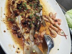 -飞尝蚝·顺德菜·鱼生(顺德总店)