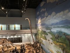 -自贡恐龙博物馆