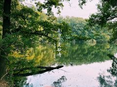-灵谷景区