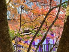 -醍醐寺