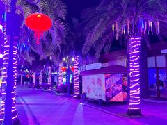 -三亚海昌梦幻海洋不夜城