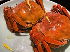 -夜上海(新天地店)