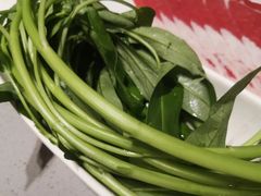 空心菜-海底捞火锅(万象汇店)