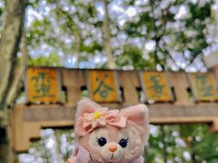 -灵谷景区