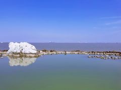 -上海吴淞炮台湾国家湿地公园