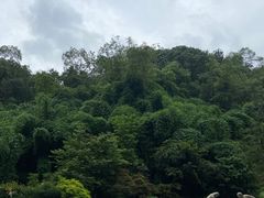-黔灵山公园