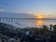 -宝安西湾红树林湿地公园