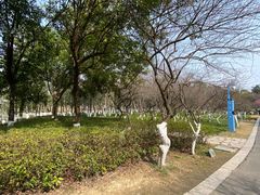 -三垟湿地