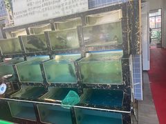 -众味海鲜大排档·活海鲜·潮汕味(南澳店)