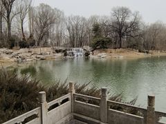 -晋祠公园