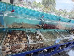 -仙螺岛海鲜自助餐厅(总店)