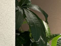 -Fridi Patisserie Cafe