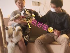 -Husky Go! 哈士奇体验馆·宠物咖啡厅狗咖