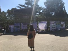 -中央民族大学