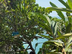 -西涌国际滨海旅游区